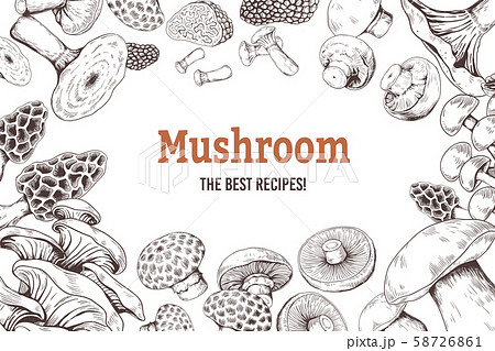 Mushroom sketch background. Organic food sketch with shiitake champignon truffle and oyster Mushroom sketch background. Organic food sketch with shiitake champignon truffle and oyster 58726861