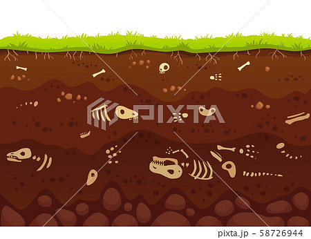 Archeology bones in soil layers. Buried fossil animals, dinosaur skeleton bone in dirt and 58726944