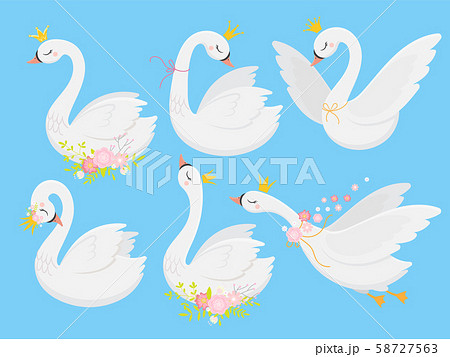 Cute princess swan. Beautiful white swans in gold crown, cartoon goose bird and duckling vector Cute princess swan. Beautiful white swans in gold crown, cartoon goose bird and duckling vector 58727563