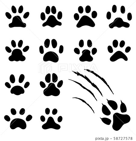 Pets paw footprint. Cat paws prints, kitten foots or dog foot print. Pet rescue logo isolated vector Pets paw footprint. Cat paws prints, kitten foots or dog foot print. Pet rescue logo isolated vector 58727578