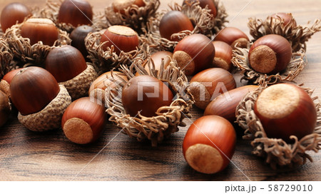 ドングリ 58729010