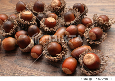 ドングリ 58729011