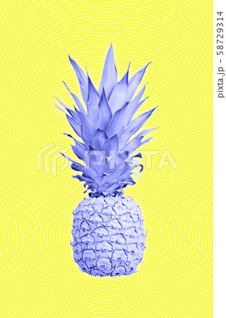 Contemporary art collage with pineapple. Exotic tropical fruit. Pop art. Perfect for invitations 58729314