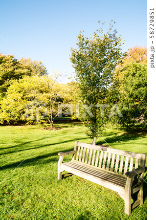 秋の紅葉が始まった公園の木々と木製のベンチ 秋の紅葉が始まった公園の木々と木製のベンチ 58729851