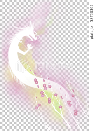[New Year card illustration] Dragon and plum 58730362