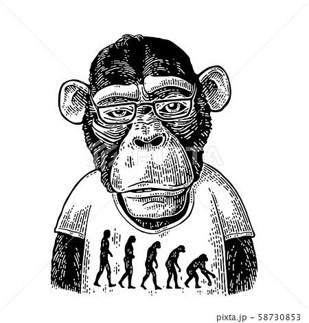 Monkeys dressed in a T-shirt with the theory of 58730853