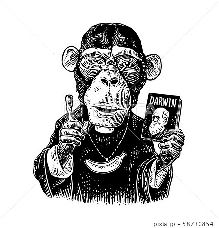 Monkey priest dressed in a cassock with book 58730854