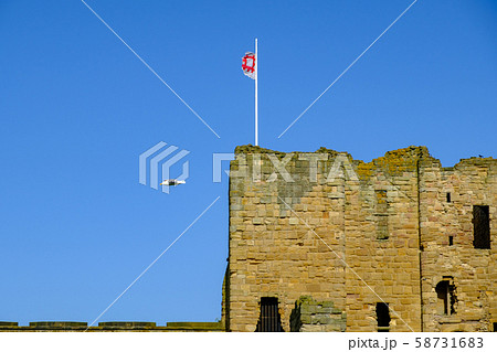 Seagull flying above the Medieval Tynemouth Priory and Castle in the United Kingdom 58731683