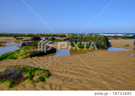 Tynemouth Long Sands on the North East Coast of England pictured on a warm summer day. This is a very popular beach throughout the year. Tynemouth Long Sands on the North East Coast of England pictured on a warm summer day. This is a very popular beach throughout the year. 58731685