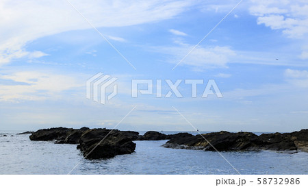 城ヶ島（秋） 58732986