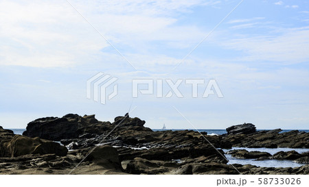 城ヶ島（秋） 58733026