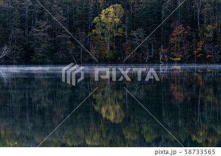 オンネトーの紅葉 58733565