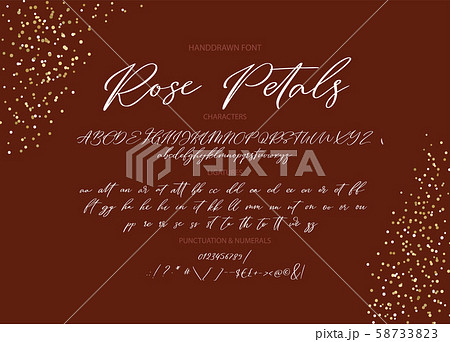 Hand drawn vector font. 58733823