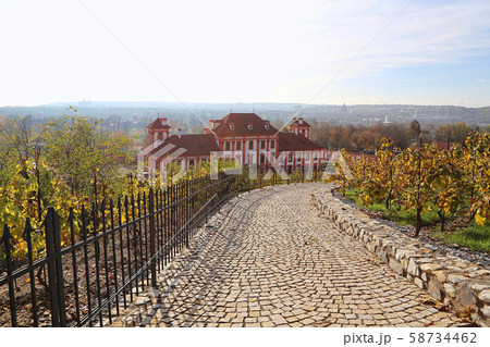 View of the Troja Palace from the vineyards in View of the Troja Palace from the vineyards in 58734462