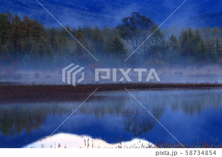 奥日光小田代湖 奥日光小田代湖 58734854