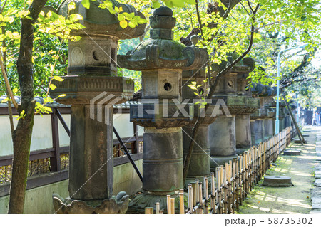 【東京都】上野東照宮 灯籠 【東京都】上野東照宮 灯籠 58735302