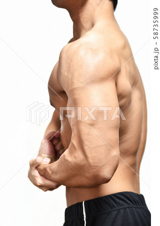 鍛えた若者の身体 鍛えた若者の身体 58735999