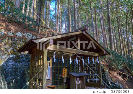 埼玉県秩父市の三峯神社のえんむすびの木 58736003