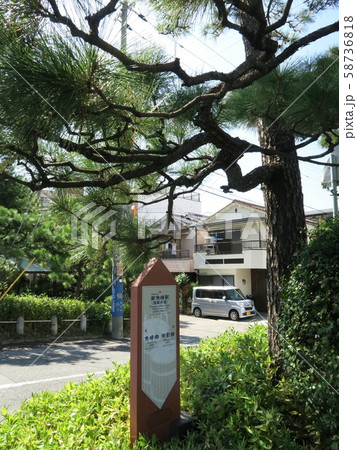 魚崎駅周辺 魚崎郷 住吉川沿いの風景 魚崎駅周辺 魚崎郷 住吉川沿いの風景 58736818