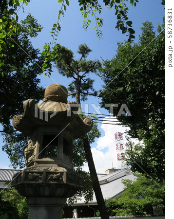 魚崎駅周辺 魚崎郷 住吉川沿いの風景　 58736831