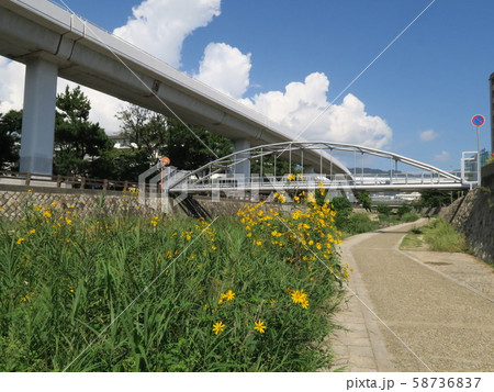 魚崎駅周辺 魚崎郷 住吉川沿いの風景　 58736837