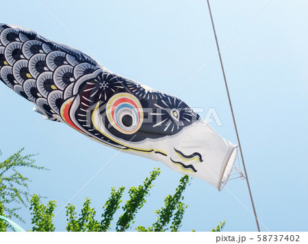 こいのぼり こいのぼり 58737402