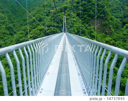 綾の照葉大吊橋 58737693