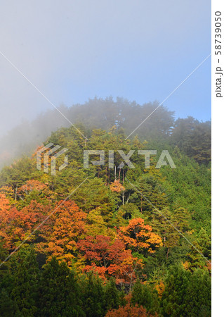 秋の山 58739050