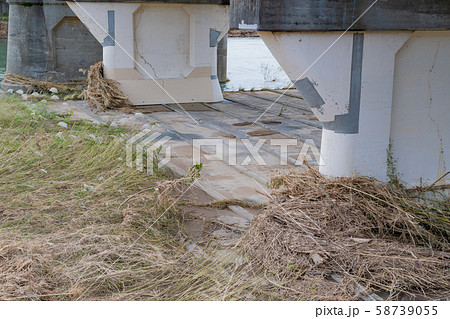 静岡県伊豆の国市狩野川　台風後の千歳橋の橋脚に引っかかった漂流ゴミ 58739055