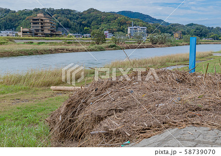 静岡県伊豆の国市狩野川　台風通過後の水位計と漂流ゴミ 58739070