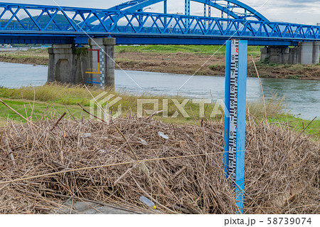静岡県伊豆の国市狩野川　台風通過後の水位計と漂流ゴミ 58739074