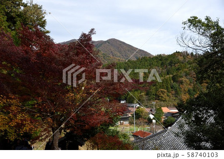 紅葉の但馬安国禅寺から望む風景 紅葉の但馬安国禅寺から望む風景 58740103