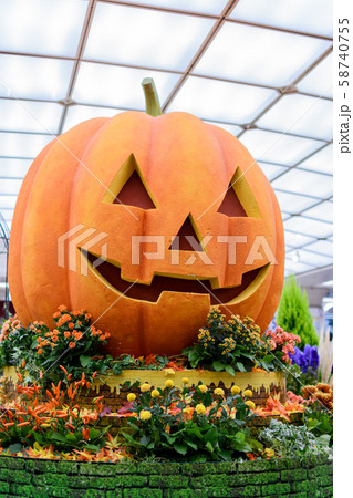 ハロウィン装飾の写真素材