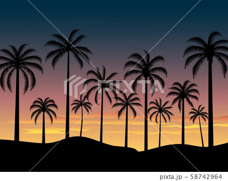 Palm Trees During Sunsetのイラスト素材