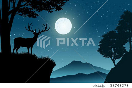 deer on cliff during night 58743273