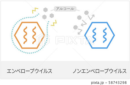 エンベロープウイルス、ノンエンベロープウイルス図解 エンベロープウイルス、ノンエンベロープウイルス図解 58743298