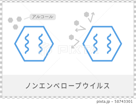 非包膜病毒 58743301
