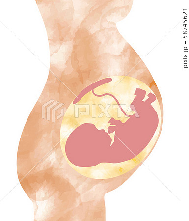 マーブル模様の母体の胎児 58745621
