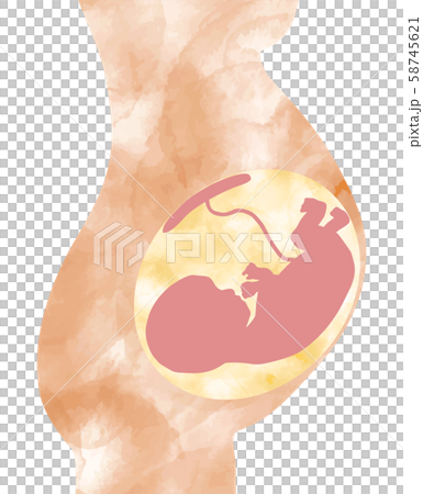 マーブル模様の母体の胎児 58745621