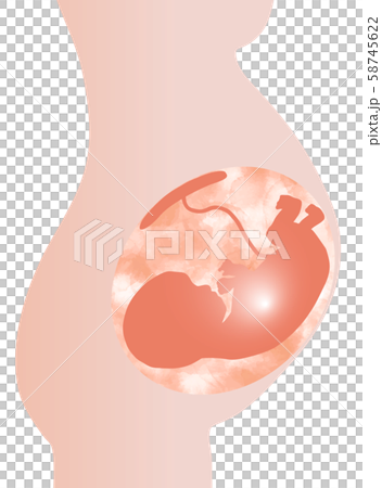 色白肌の母体の胎児 58745622