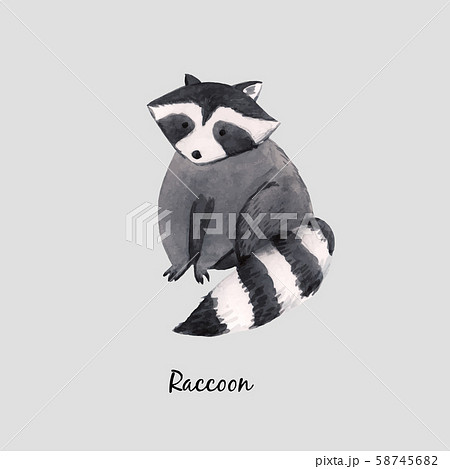 cute baby raccoon drawing