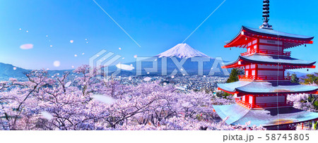 桜吹雪舞う新倉山浅間公園内の五重塔と富士山 58745805