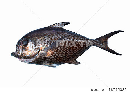 エチオピア 58746085