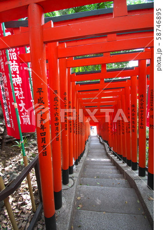 赤坂日枝神社の鳥居 赤坂日枝神社の鳥居 58746895