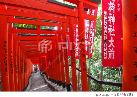 赤坂日枝神社の鳥居 赤坂日枝神社の鳥居 58746898