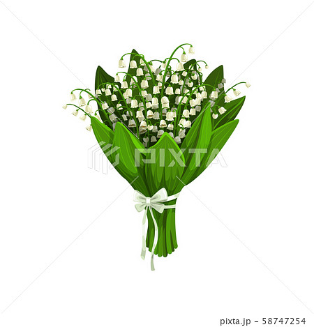Lilies of the valley or may-lily flowers 58747254
