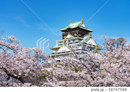 大阪城と桜 大阪城と桜 58747589