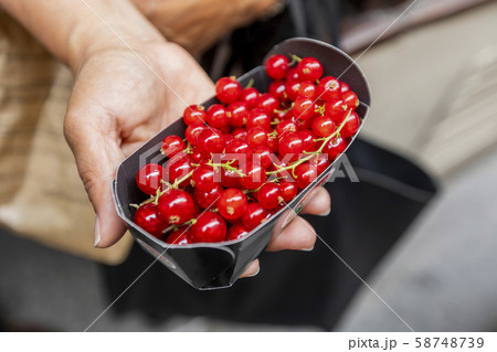 Hand of woman holding container of cranberries 58748739