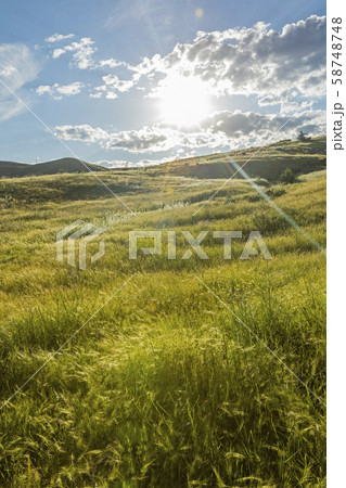 Sunbeams over green field Sunbeams over green field 58748748