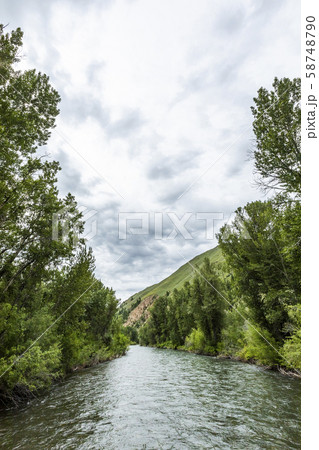 River through forest in Sun Valley, Idaho, USA 58748790